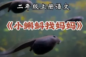 二年级语文上册第一课《小蝌蚪找妈妈》#二年级 #暑假 #课文朗读视频封面
