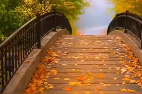 海子诗歌《秋》诵读 神，鹰，王分别代表什么？诗歌解读见评论区#朗诵 #每天学习一点点 #海子视频封面