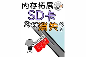 手机内存不足！却不支持SD卡拓展？#手机 #手机内存 #sd卡 #存储视频封面