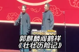郭麒麟阎鹤祥 《壮壮历险记》完整版 德云社“师徒父子视频封面