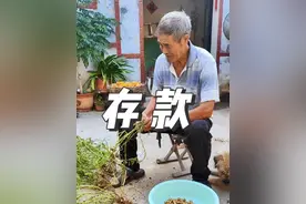 《存款》 一提存款，老头就装糊涂；老太太就急眼。#农村搞笑段子视频封面