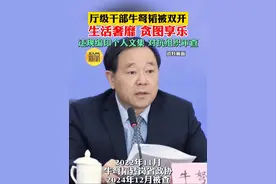 厅级干部牛弩韬被双开 生活奢靡 贪图享乐 违规编印个人文集 对抗组织审查视频封面