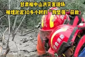 甘肃榆中山洪灾害现场 被埋淤泥30多小时的“狗坚强”获救 #甘肃 #兰州兰州 #抢险救灾 #最新消息 8月9日，国家西北区域应急救援中心一大队在兴隆山风景区沿河道两侧搜索被困人员的时候，发现一只掩埋在淤泥中的狗。搜救队员从淤泥中挖出狗，及时对狗身体进行冲洗消毒，对受伤部位进行包扎，对眼睛进行清洗，狗生命体征逐渐恢复，被救援队员称为榆中山洪灾害现场的“狗坚强”。
