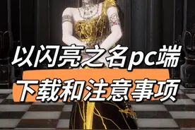 pc端电脑下载和注意事项#以闪亮之名 #电脑小技巧