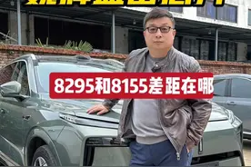 聊聊8295芯片和8155芯片之间的差距，方便你选车做参考