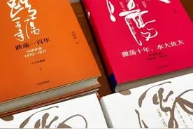 几十年的中国企业和经济的发展史！视频封面