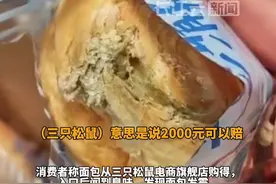 有消费者买到三只松鼠发霉面包，三只松鼠客服：可依照法律规定赔偿消费者2000元，道歉信则无法支持视频封面