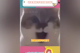 这老恩格尔能吃的明白我大中国餐吗？！#搞笑 #吃货 #恩格尔