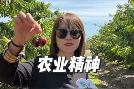 有人说赚到钱啦才去智利的。热爱一个行业尊重一个行业。#新鲜应季水果 #水果 #在平凡日子里热爱生活视频封面