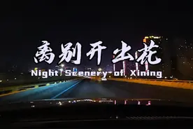 离别开出花 #热门音乐🔥 #开车第一视角 #夜景 #车载音乐 #科目三