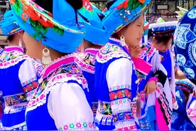 云南舞蹈大家跳 #民族特色民族文化 #云南舞蹈大家跳 #去有风的地方#金花 #热门视频封面