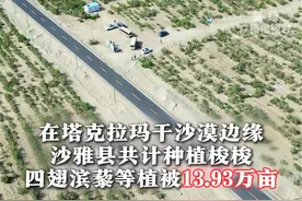 用航拍镜头感受人类将绿色推向沙漠深处的奇迹 #新疆 #沙漠 #绿洲视频封面