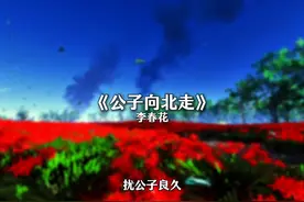 小女子不才 未得公子青睐. #降调#公子向北走#音乐分享视频封面