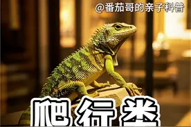 生命历程 | 恐龙是什么演化而来？爬行动物的演化和分类。#抖音精选  #内容启发搜索 #动物科普 #抖音知识年终大赏 #古生物视频封面