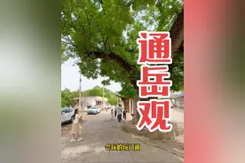 河南淅川夏季出行最佳目的地之盛湾镇土地岭村通岳观！#白河白#走遍豫西南视频封面