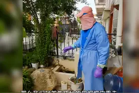 自己动手，消灭蜂窝#捅马蜂 #办法总比困难多