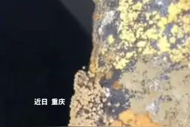 内饰没干透就停进地库，#女子洗车后9天方向盘长出3cm霉菌 ，网友：隔着屏幕都快不能呼吸了！