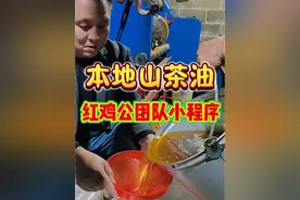 本地山茶油榨制过程！#农村自榨油制作流程 #茶油原榨纯正100% #山茶油 #红鸡公团队小程序