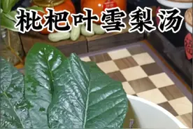 你一定要知道，把枇杷叶和雪梨一起煮一煮居然这么厉害#抖音美食推荐官 #爱美食爱生活 #食疗养生 #美食 #美食教程视频封面