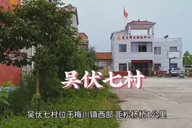 吴伏七村位于梅川镇西部，距松杨桥1公里。全村有10个村民小组