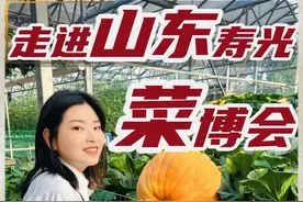 走进山东寿光菜！博会 第一次来看山东寿光的菜博会，果然是宇宙寿光，好多神奇蔬菜，长见识啦！不愧是我国最大蔬菜基地，全球四大蔬菜基地之一！为寿光打call，为山东打call！更为祖国打call！#山东DOU是好风光 #宝藏潍坊#寿光菜博会开幕视频封面