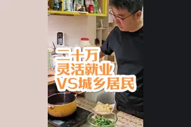 每年交一万，连续交二十年，是灵活就业还是城乡居民社保划算呢