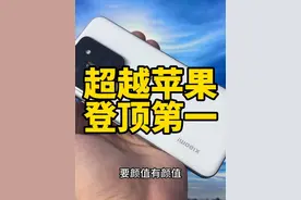 小米手机销量11月国内品牌第一，12月反超苹果全部品牌第一