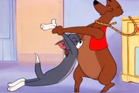 这集猫和耗子可谓是表情包名场面制造机#猫和老鼠 #汤姆杰瑞视频封面