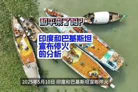 和平来了吗？印度和巴基斯坦宣布停火的分析 #印巴冲突 #印巴战争视频封面