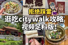 吐血整理🩸从顺德大良回来怒写攻略！！ #顺德 #顺德攻略 #顺德美食 #佛山美食 #顺德大良视频封面