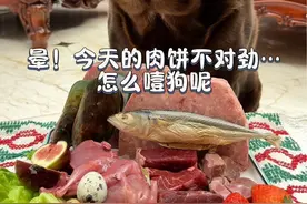 晕！今天这肉饼不对劲..怎么噎狗呢视频封面