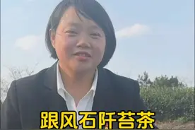#春茶上市 #驻村的日子 #家乡产业宣传视频封面