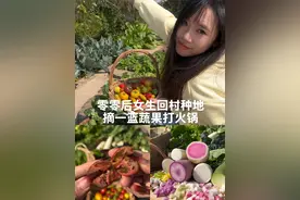 零零后女生回村种地 摘一篮自己种的蔬果打火锅到底有多爽？#记录我的种植生活 #抖音新农人 #03年女生回村种地 #种地基因觉醒视频封面