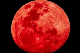 9月8日，“血月”月全食已经降临，全程肉眼可见，月亮被染红82分钟，23：28开始至次日4：55结束，其中“血月”01：30开始持续约1小时22分，这次错过要再等3年。#月亮  #月全食  #血月  #机位标签激励计划  #机位天才已就位