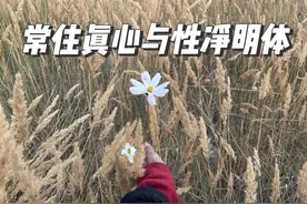 一切众生从无始来，生死相续，皆由不知常住真心，性净明体。视频封面