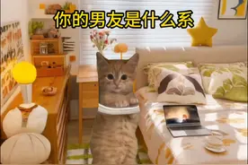 你的男友是什么系 #猫咪表情包 #情侣 #情侣日常 #happy喵视频封面