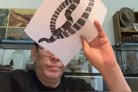 银环蛇咬伤的症状与致死原因 银环蛇咬伤症状包括局部麻木、头晕眼花、肌肉关节酸痛等，最终导致呼吸衰竭。被咬伤后应在伤口上方20-30厘米处捆扎，延缓中毒，避免挤压伤口。#银环蛇咬伤