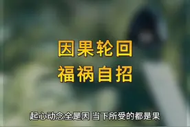 因果有轮回，苍天饶过谁，不管你信不信它都存在#上热门#智慧人生