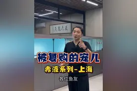 那个说龙鱼的阿吉回来了#辰赤龙鱼 各位新手鱼友