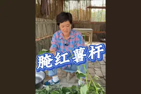 在我们农村红薯杆根本吃不完，像我这样腌出来，酸辣爽口开胃又下饭，做法简单，满满的家乡味道，你吃过吗#农村美食 #农村生活 #新农人计划2024 #我的乡村生活vlog #红薯杆的腌制方法