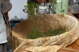 今天我们来探讨红茶制作的发酵和烘培#制茶人 #红茶 #手工茶 #新茶上市视频封面