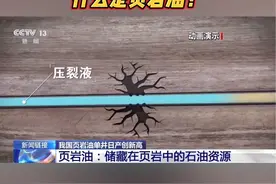 页岩油是储藏在页岩中的石油资源，通俗讲就是储藏在石头缝中的石油。#页岩油 #科普一下视频封面