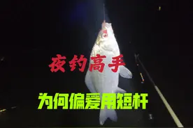 夜钓高手为何偏爱用短杆？老钓友:用对方法大板鲫连口 #钓鱼