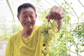 #乡村生活家 经过二十六天的康复治疗，老伴终于可以回家啦，但愿从今以后老伴远离伤痛，健健康康平平安安地…… #记录真实生活 #韩国生活视频封面