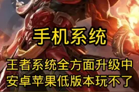 《王者荣耀新公告：手机配置限制引发玩家热议》#王者荣耀视频封面