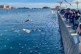 八万吨级的远洋船，横跨太平洋，去美洲运载大豆，在海上要航行30多天，祝愿航安！视频封面