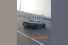 全新大牛启动了，这你受得了吗