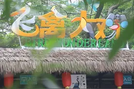飞禽大观重新开放