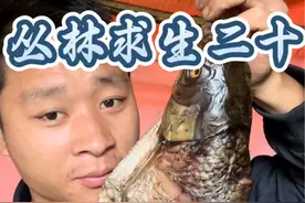 丛林求生二十 这个小伙居然收获了这么多的鱼和柿子，还烤上了烤鱼，快来看看发生了什么吧视频封面