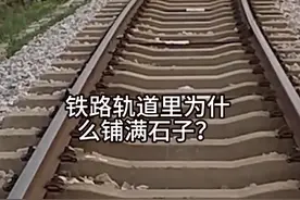 为什么铁轨上铺满了石子？它有什么作用？#火车 #铁路 #交通